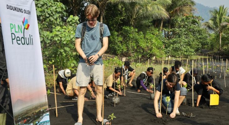 PLN UIP MPA Libatkan Relawan Internasional Dukung Konservasi Burung Mamoa