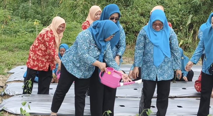 TP PKK Taliabu Ikut Penanaman Cabai Serentak 