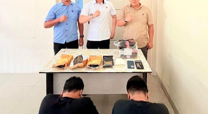 Miliki Satu Paket Ganja, Dua Pemuda Ditangkap Satresnarkoba Polres Ternate