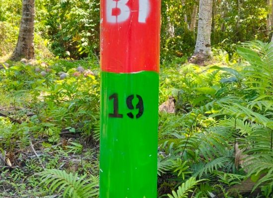 Tak Ada Sosialisasi, Pemerintah dan BBT Diam-diam Tanam Patok di Perkebunan Masyarakat Desa Wayatim