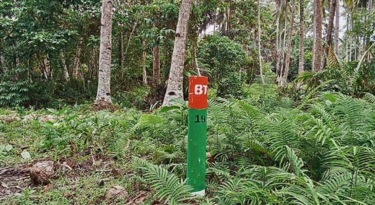 Tak Ada Sosialisasi, Pemerintah dan BBT Diam-diam Tanam Patok di Perkebunan Masyarakat Desa Wayatim