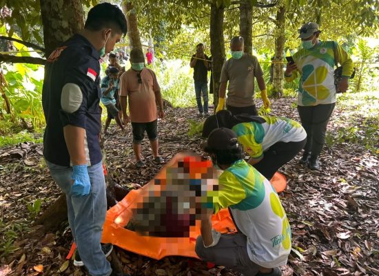 Bunuh Diri di Tidore, Korban Menulis Surat Sebelum Melakukan Aksi