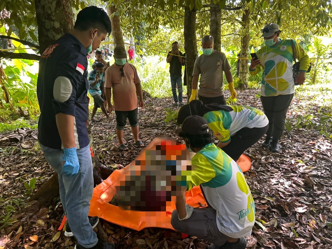 e9ead585 e65f 45c7 b51a b0f0e818bdba