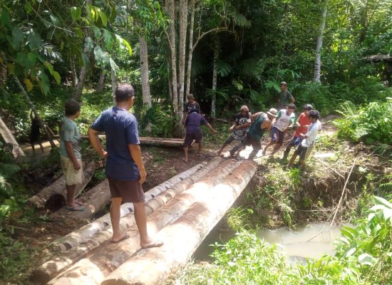 Gotong Royong Bangun Jembatan, Warga Desa Wayatim Minta Pemerintah Perhatikan Akses Jalan Tani