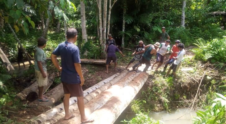 Gotong Royong Bangun Jembatan, Warga Desa Wayatim Minta Pemerintah Perhatikan Akses Jalan Tani