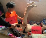 4cdf11fd 879d 47bd 9174 743e43e0e14e