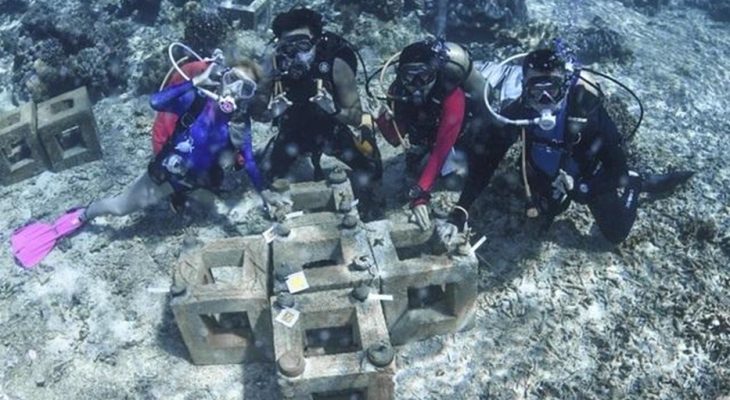 Tak Ingin Berhenti Menyelam, Marischka Prudence Terpukau Keindahan Laut Pulau Obi