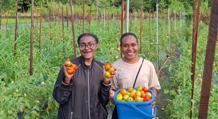 Hasil Panen Berlimpah, Program Desa Berdaya Taman Inspirasi Waibu “Wajah Indonesia Baru” PLN Makin Berdampak