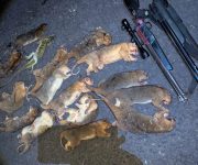 IMG 20251230 WA0032 1