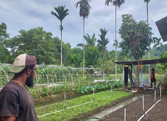 PLN UIP MPA Dorong Modernisasi Pertanian melalui Electrifying Agriculture di Kelompok Pelita Jaya Makmur