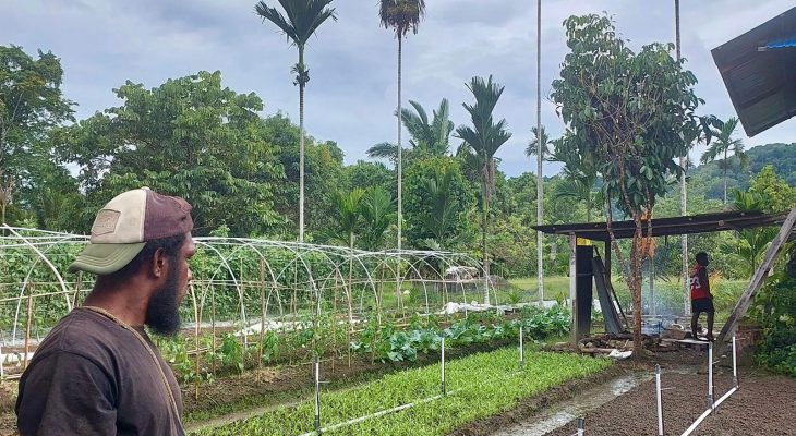 PLN UIP MPA Dorong Modernisasi Pertanian melalui Electrifying Agriculture di Kelompok Pelita Jaya Makmur