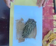 e903e946 985e 4a15 940f 88829ef57322