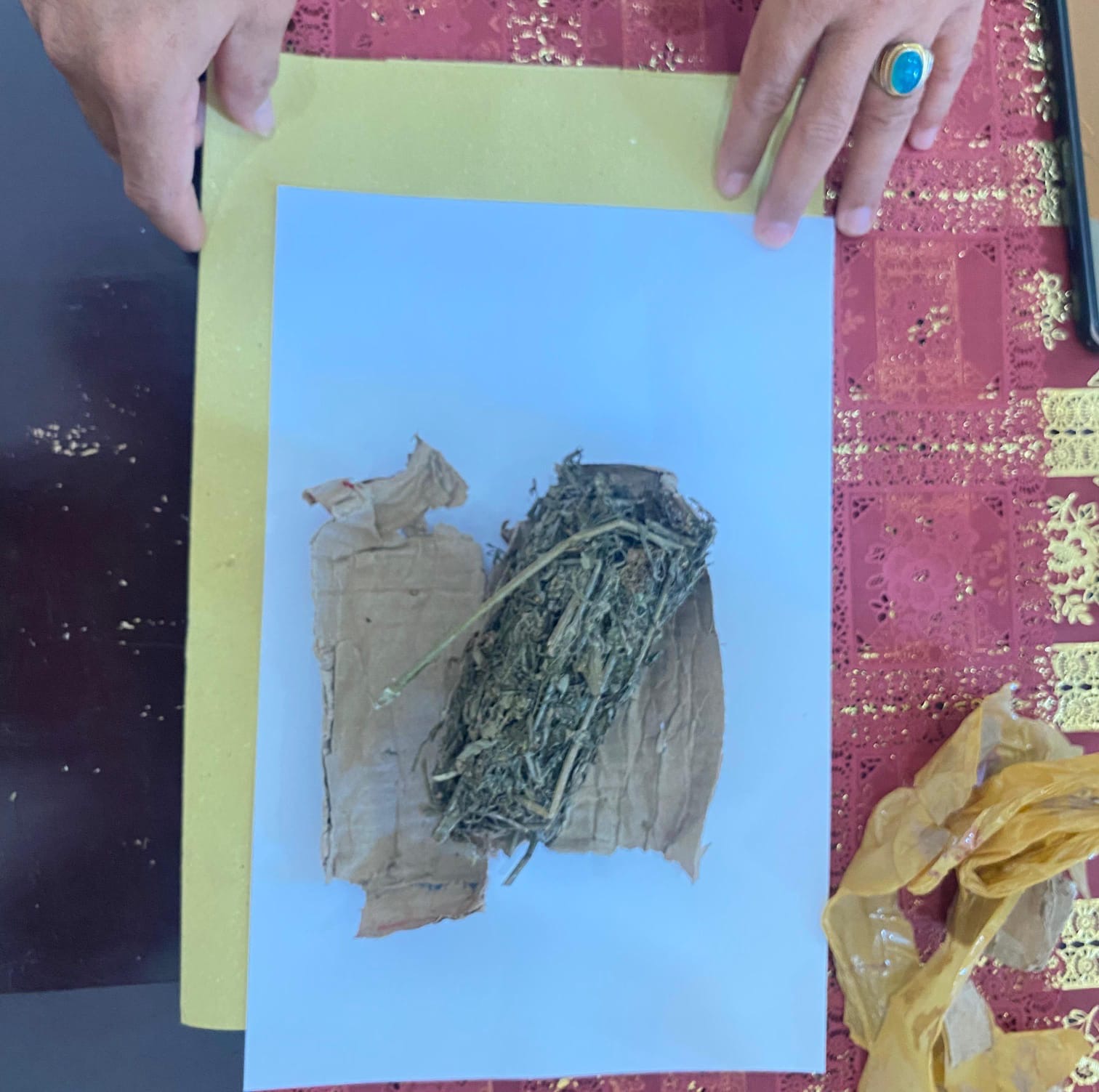 e903e946 985e 4a15 940f 88829ef57322