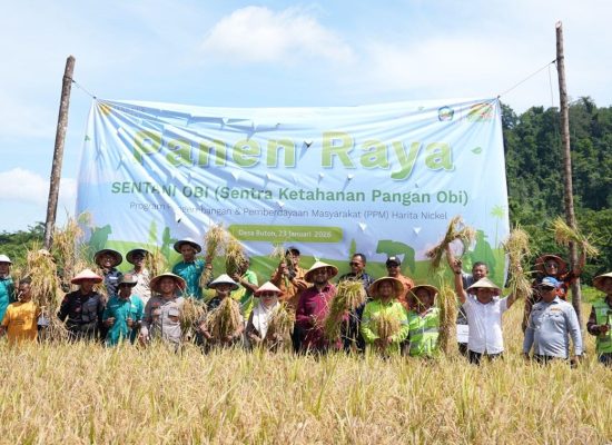Harita Nickel dan Pemkab Halmahera Selatan Gelar Panen Raya Padi, Produktivitas Petani Obi di atas Rata-rata Nasional