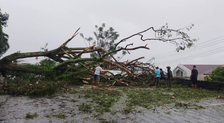 Pohon di Bela Hotel Ternate Tumbang, 4 Mobil Tertimpa