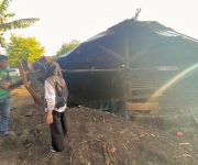 WhatsApp Image 2026 01 31 at 09.34.27