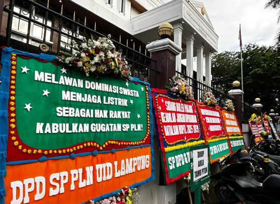 Sidang Lanjutan Gugatan RUPTL 2025–2034: Saksi Tergugat ESDM Perkuat Dalil Gugatan SP PLN
