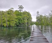 WhatsApp Image 2026 02 10 at 15.16.23