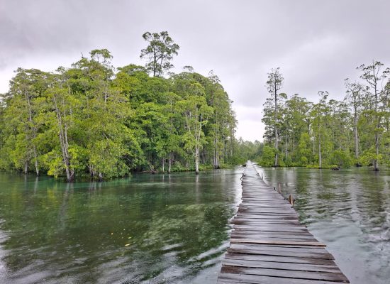 Ketika Alam Dijaga dengan Ikhlas