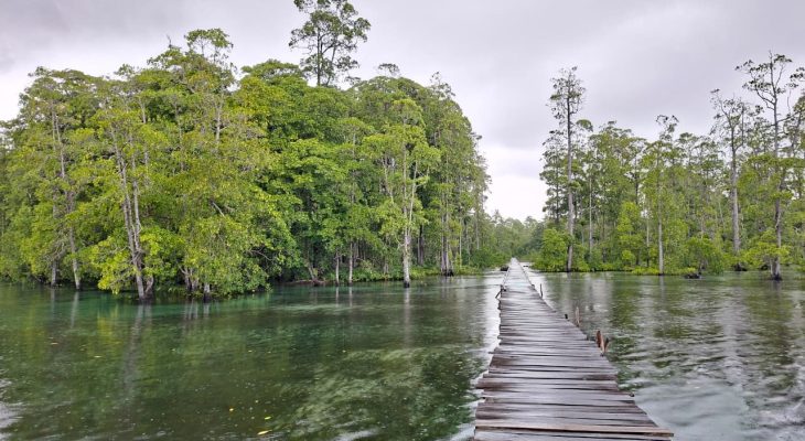 Ketika Alam Dijaga dengan Ikhlas