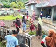 WhatsApp Image 2026 02 12 at 15.00.49