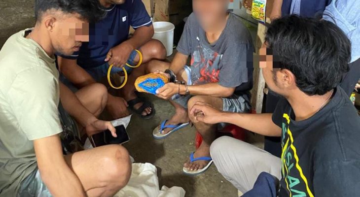 Polisi Tangkap Pria 21 Tahun di Morotai karena Ganja