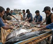 Lebih dari Sekadar Melaut, Nelayan Soligi Bangun Ekonomi Lewat SUTAN
