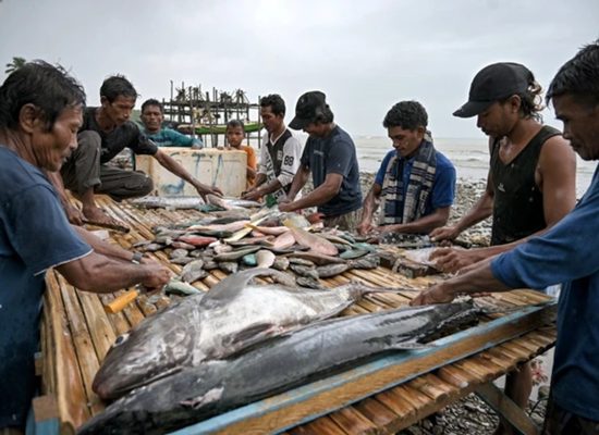 Lebih dari Sekadar Melaut, Nelayan Soligi Bangun Ekonomi Lewat SUTAN