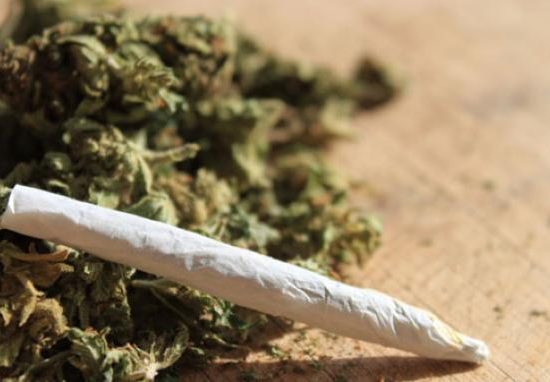 Jemput Ganja di Jasa Pengiriman Weda Tengah, Polda Malut Bekuk MRK 