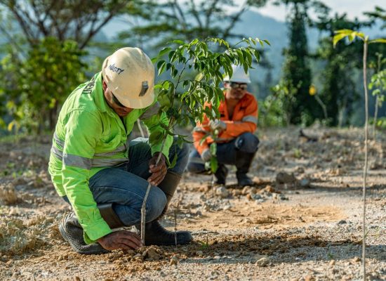 Dorong Pertambangan Berkelanjutan, NHM Rehabilitasi 232 Hektar Lahan