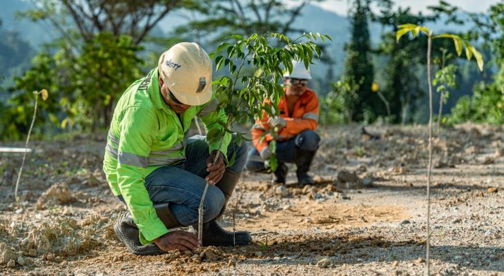 Dorong Pertambangan Berkelanjutan, NHM Rehabilitasi 232 Hektar Lahan