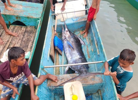 Di Tengah Perdebatan Nikel, Nelayan Obi Tetap Melaut