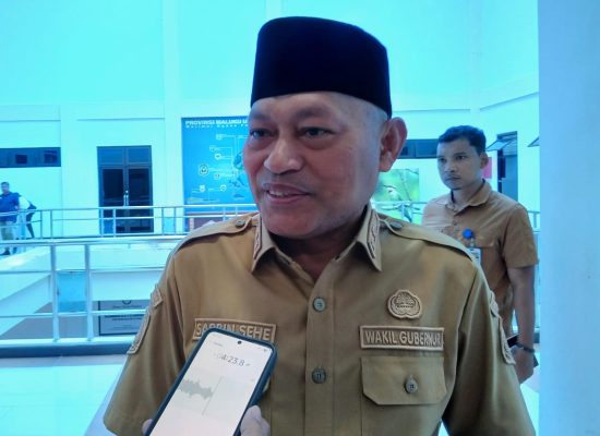 Pemprov Malut Siapkan 90 Ekor Sapi Kurban untuk Idul Adha 2026