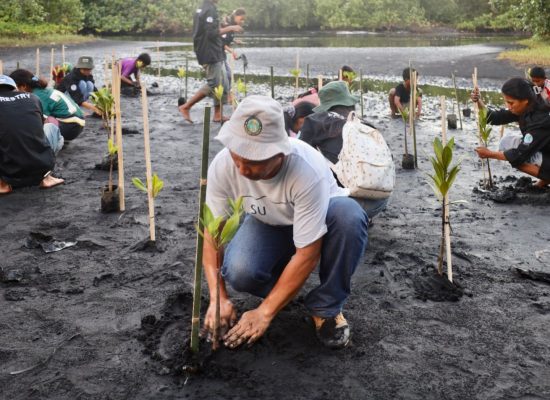 Kolaborasi Hari Bumi 2026, PLN UIP MPA Perkuat Konservasi Burung Mamoa di Desa Binaan