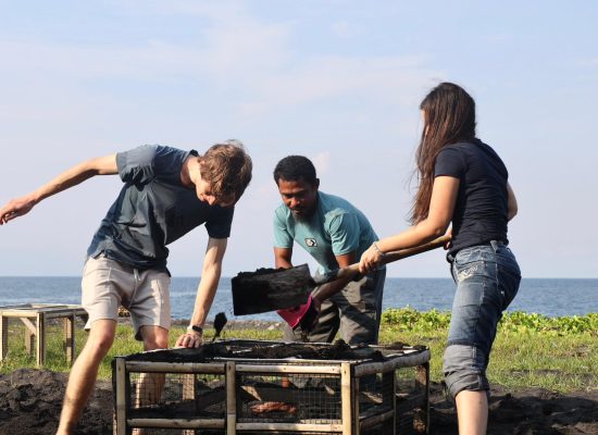 Dari Pesisir Halmahera, Harapan Burung Mamoa Tumbuh Bersama Masyarakat dan PLN
