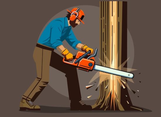 Salah Tebang Pohon Kelapa di Bapenu Taliabu, Kuasa Hukum Beri Penjelasan