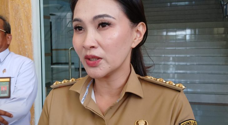 Administrasi Peralihan Ruas Jalan di Taliabu Belum Tuntas, Pemprov Malut Siapkan Pembangunan 10 km