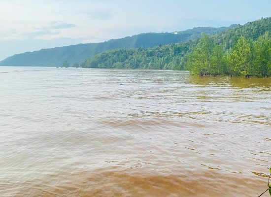 PT Feni Diduga Cemari Teluk Buli, Kementerian dan Pemda Diminta Tindak Tegas