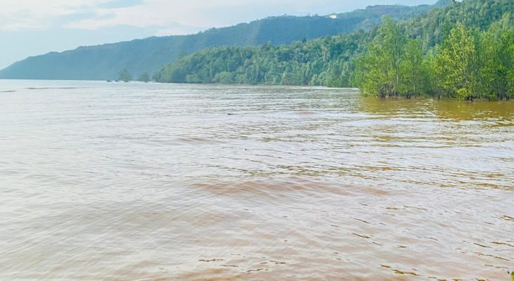 PT Feni Diduga Cemari Teluk Buli, Kementerian dan Pemda Diminta Tindak Tegas