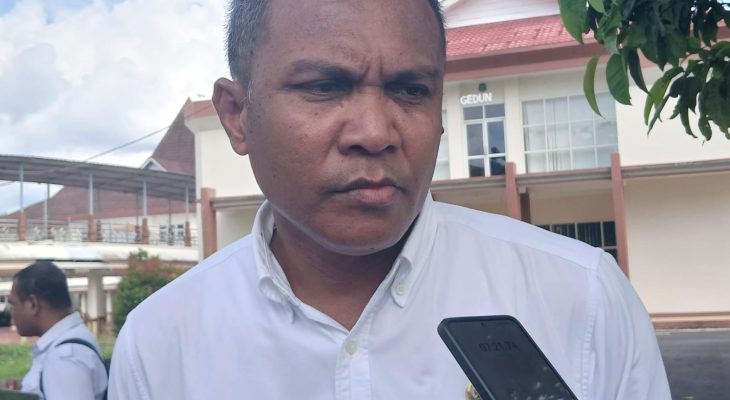 ESDM Maluku Utara Sebut Halsel dan Pulau Taliabu Masih Minim Akses Listrik