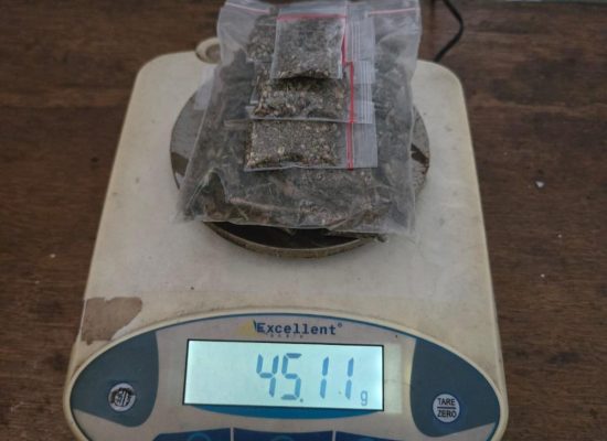 Polres Halteng Tangkap Pengedar Ganja 45,11 gram