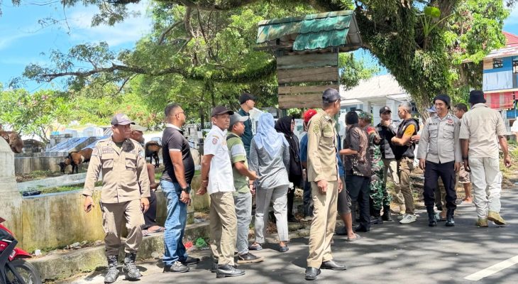 Satpol PP Ternate Tertibkan Aktivitas Penjualan Hewan Kurban di Pekuburan Cina