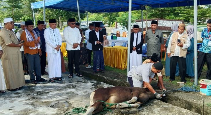 Saksikan Penyembelihan Hewan Kurban di Sofifi, Ini Pesan Wagub Sarbin Sehe 