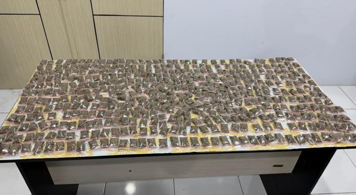 Miliki 464 Sachet Ganja, Pria 29 Tahun di Ternate Ditangkap Polisi
