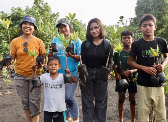 Tanam Mangrove dan Lepas Tukik Penyu di Pantai Wauwo, PLN UIP MPA Dukung Kolaborasi Konservasi Pesisir Berkelanjutan