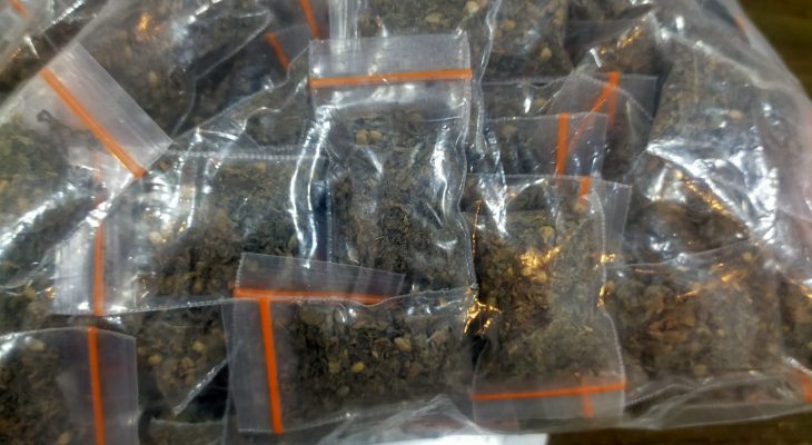 Polda Maluku Utara Tangkap Pria 19 Tahun di Ternate saat Edarkan Ganja