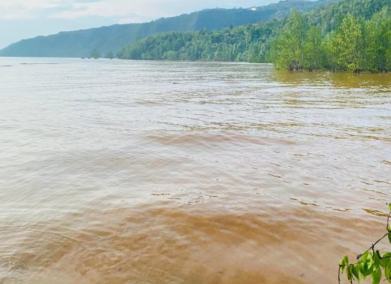 Praktisi Hukum Desak Pempus Cabut Izin PT FHT Akibat Pencemaran Teluk Buli