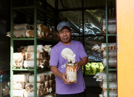 PLN UIP MPA Perkuat Kemandirian Ekonomi Masyarakat melalui Pengembangan Budidaya Jamur Tiram Kampung Sabron Yaru