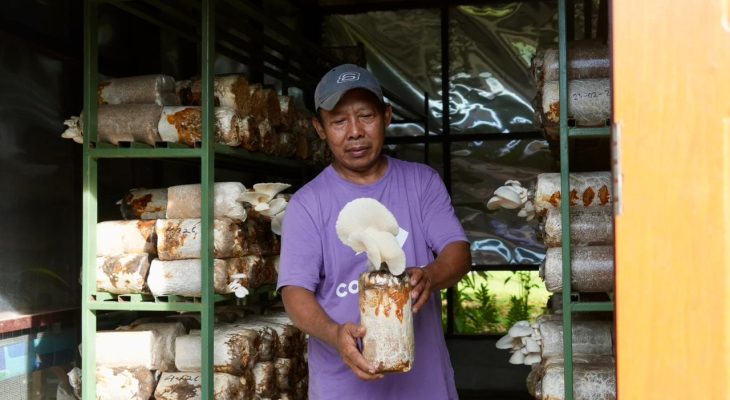 PLN UIP MPA Perkuat Kemandirian Ekonomi Masyarakat melalui Pengembangan Budidaya Jamur Tiram Kampung Sabron Yaru