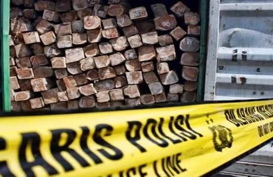 Kapolda Maluku Utara Warning Anggota soal Bisnis Kayu Ilegal dan BBM 